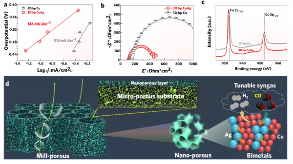 ​華中科大在3D列印分級多孔金屬及電催化還原CO2獲進展