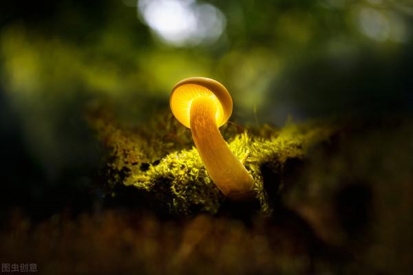 一箇中年老母親的減肥之路