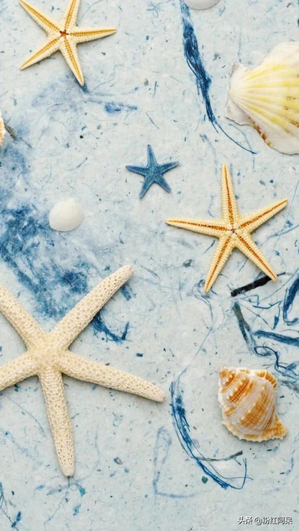 海洋與晚霞相互交映的桌布