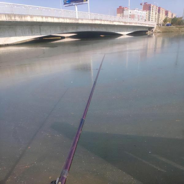 廣東釣友河邊釣魚遭遇“偷魚賊”，釣友：難怪桶裡的魚越來越少