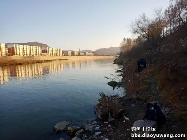 釣魚王餌兩腥配，帶來一次小豐收