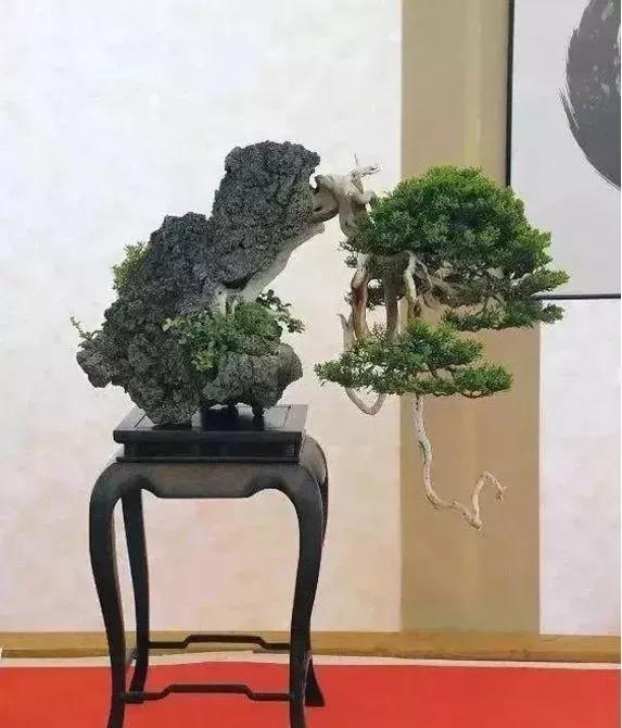 奇石盆景，別具一格