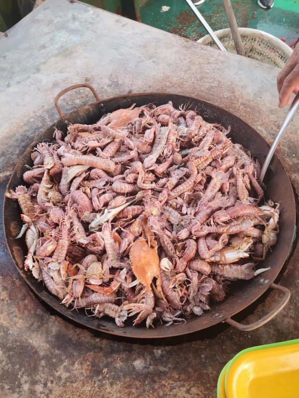黃驊港出海+南大港溼地兩日遊能不去就別去了，原因