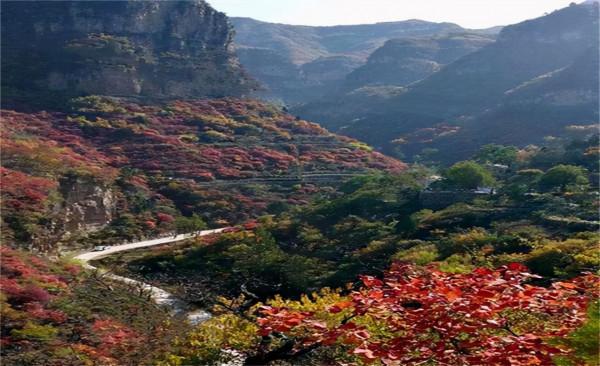 世外桃源，應如是也