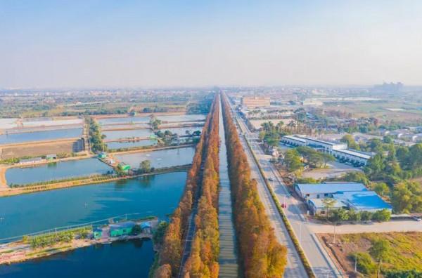 冬日暖陽之下體驗廣東碧道之美