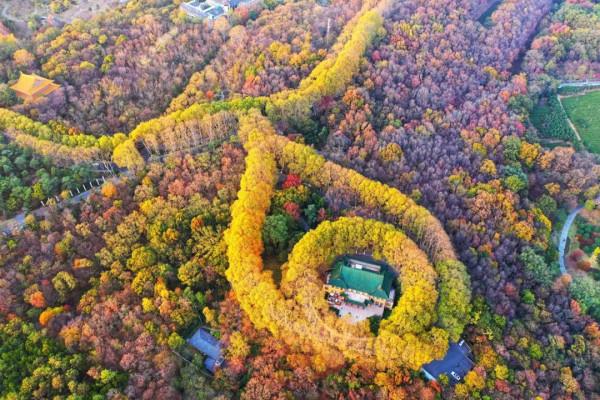 既有悠悠歷史，又有俗世煙火，來南京看看吧