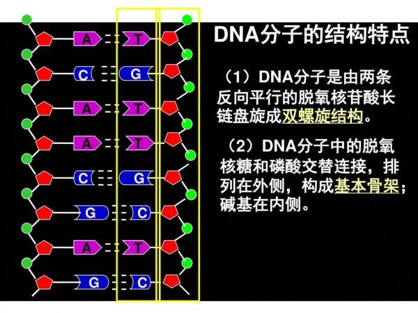 為什麼我們叫碳基生命？因為一切生命物質都是基於碳元素搭建