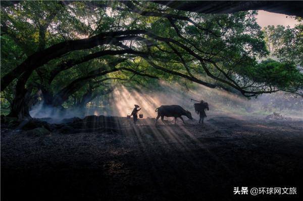 福建霞浦楊家溪：詩中的歸園田居