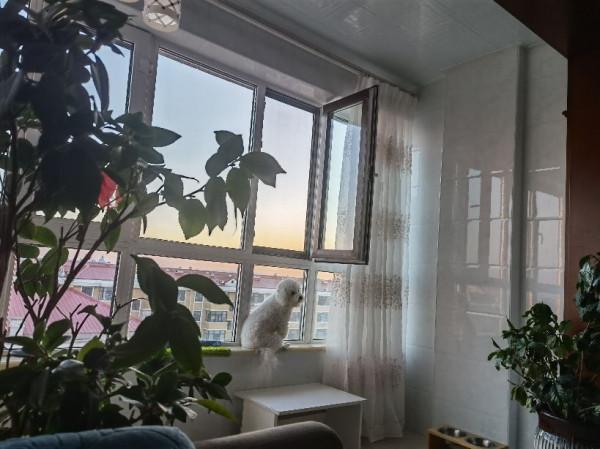 培養出忘記了爸媽的博士碩士，能算是成功的父母嗎？