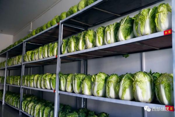 看!邊防官兵的恆溫菜窖和花樣套餐 看!邊防官兵的恆溫菜窖和花樣套餐