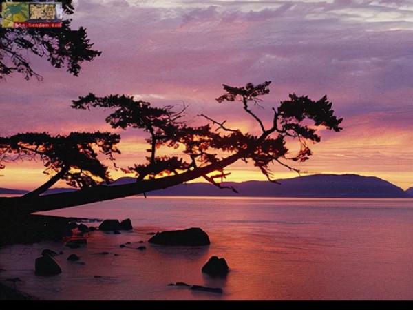 識 人（微小說）