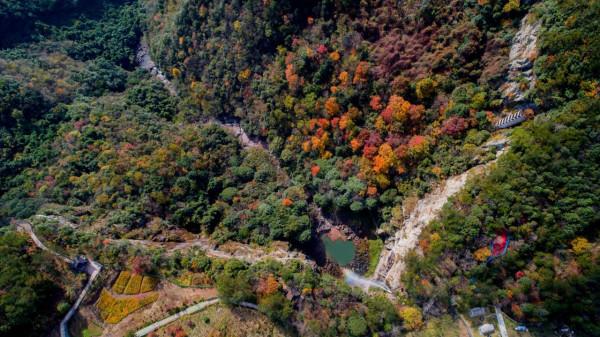 浙江賞秋,這三個被人遺忘的小眾賞秋地,驚豔了江南的秋天 浙江賞秋,這三個被人遺忘的小眾賞秋地,驚豔了江南的秋天
