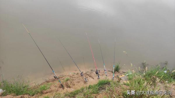 野河、一小時釣三條十幾斤的大鯉魚，這種奇葩釣法這麼神奇嗎？