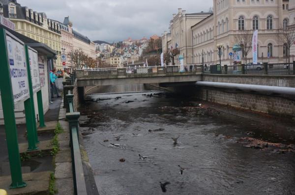 疫情發生之後最想去哪個國家？