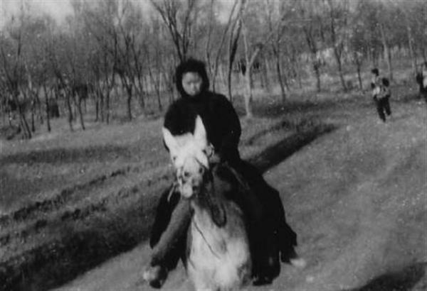 田紀雲妻子李英華:曾大著肚子工作一線,4個子女卻都是普通工人 田紀雲妻子李英華:曾大著肚子工作一線,4個子女卻都是普通工人