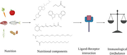 藥補不如食補,荷蘭科學家研究營養成分對免疫反應的藥理調節作用 藥補不如食補,荷蘭科學家研究營養成分對免疫反應的藥理調節作用