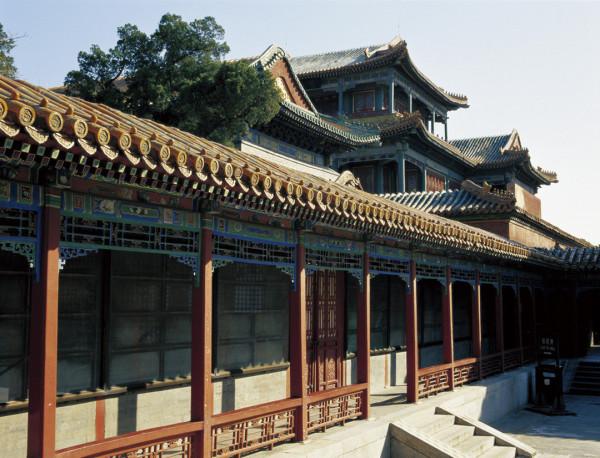 價值千金的金絲楠木，為什麼沒有人去種植呢？