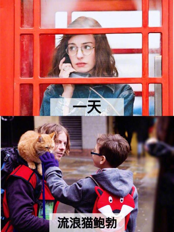 18部高分經典電影Mark慢慢看