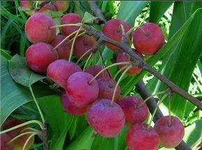 白羊座2022年1月運勢