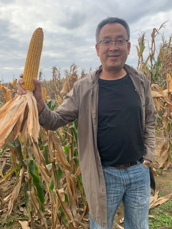 2021年秋糧收購政策釋出了!降價別怕 2021年秋糧收購政策釋出了!降價別怕