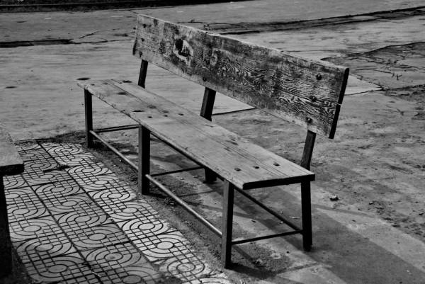 當年我和乘警藏貓貓的事「嚴建設老照片407集」