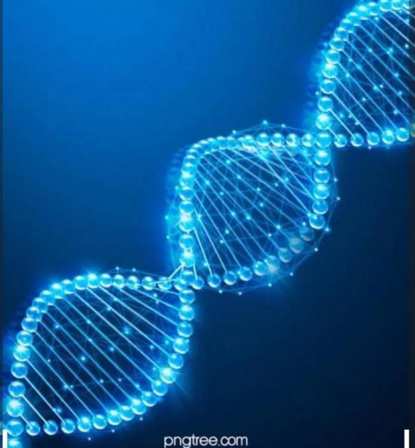 腫瘤基因檢測NGS測序報告，你能讀懂嗎？