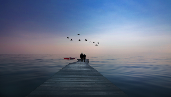 看起來很傻，實則機智過人的星座，城府深不可測，總能掌控全域性