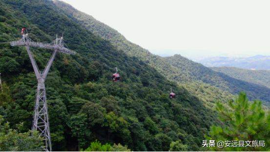江西這個98%森林覆蓋率的“天然氧吧”,年均氣溫15.1℃,雲端之上的絕美林海超治癒! 江西這個98%森林覆蓋率的“天然氧吧”,年均氣溫15.1℃,雲端之上的絕美林海超治癒!