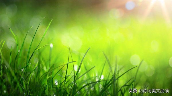 十二個月，十二首詩，十二種美