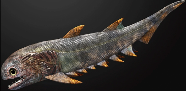 肉鰭魚：人類最該感謝的魚，3.6億年前的某天，它決定登上陸地