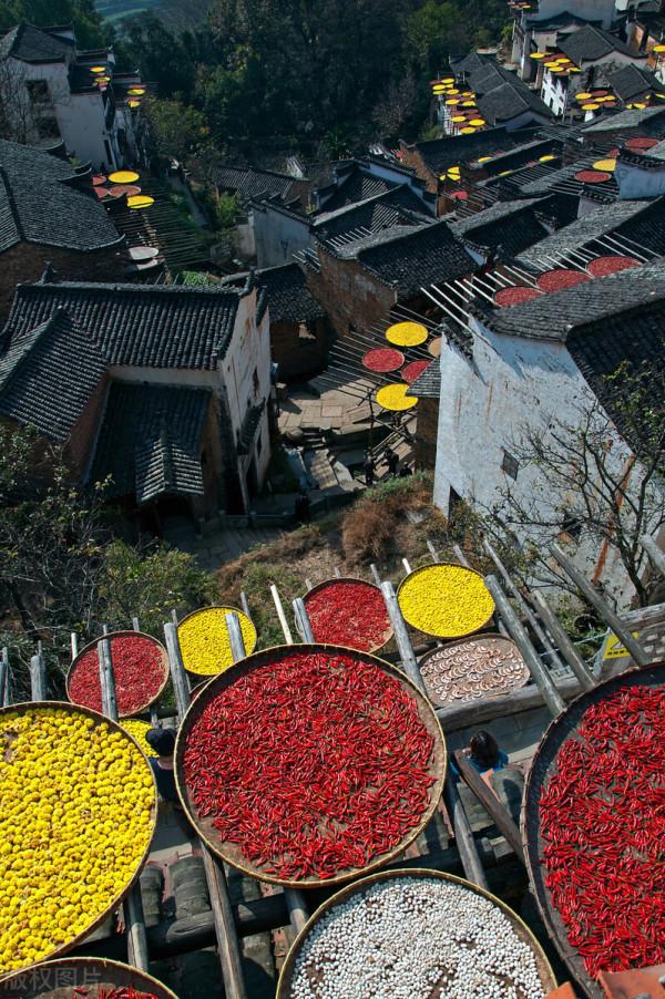 穿越千年,當秋日美景遇上古詩詞,許你一個詩意的山河 穿越千年,當秋日美景遇上古詩詞,許你一個詩意的山河