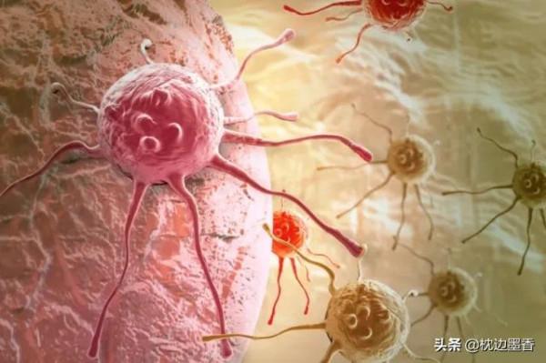 新冠病毒肆虐之際，有人卻在與病毒展開深度合作？