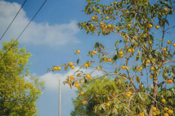 這世界有那麼多人,多幸運我有個我們 這世界有那麼多人,多幸運我有個我們