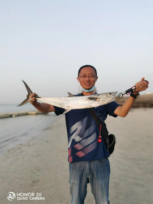 最近這些天都魚獲