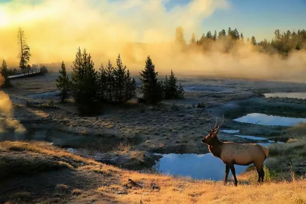 黃石公園：地球表面上最精彩、最壯觀的地質美景