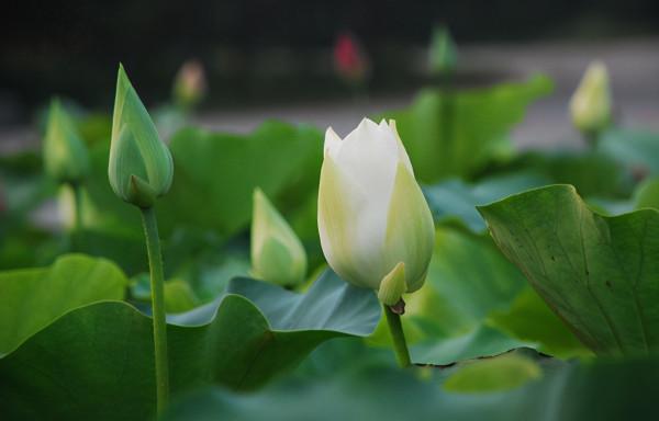 人過五十,不管你多善良,對以下幾種人,要心狠一點 人過五十,不管你多善良,對以下幾種人,要心狠一點