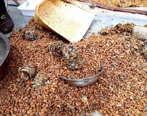 7年前一斤不到10塊，現在翻了5倍，業內人：人工費太高