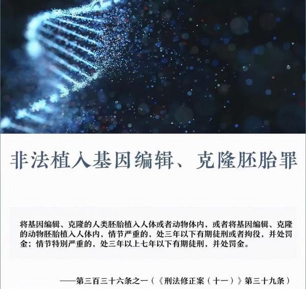 24年前就造出克隆羊,為何不克隆人?看看克隆羊的下場,多恐怖 24年前就造出克隆羊,為何不克隆人?看看克隆羊的下場,多恐怖