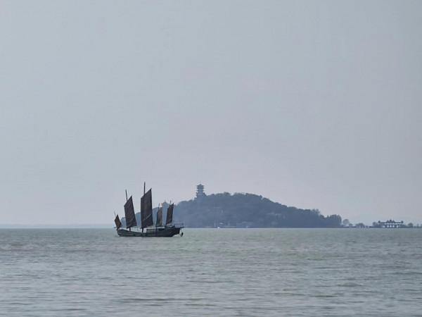 黿頭渚櫻花先睹為快