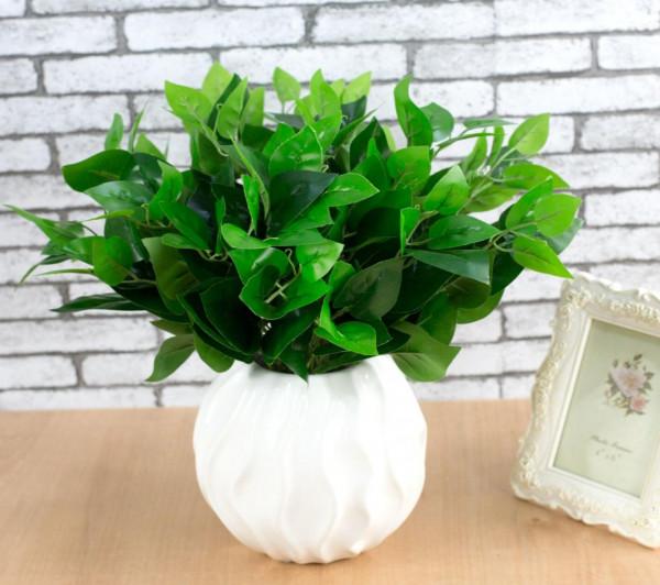 澆花，用好這4種“水”，效果就像打了激素，刺激植物瘋長