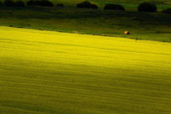 去了北疆才知道，中國有多大；去了南疆才知道，中國有多美