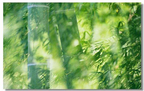 詩仙、詩聖有沒有寫得不好的詩，為什麼當下詩壇爛詩特別多？