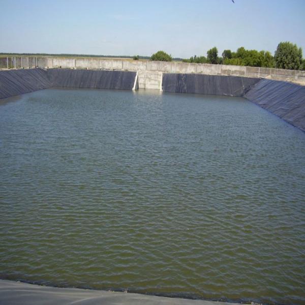 鱉(拍案驚奇) 鱉(拍案驚奇)