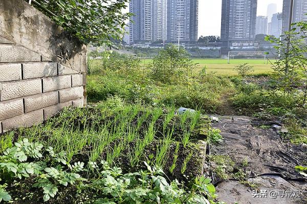 這個荒草叢生的重慶力帆足球場，會是更多俱樂部的結局嗎？