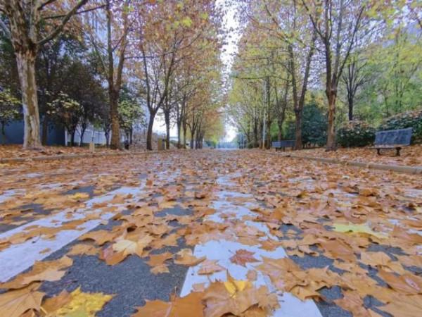 新校園？新角色？讓我看看