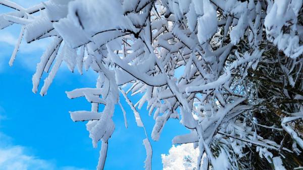 在家觀冬奧 聯想冰雪記憶