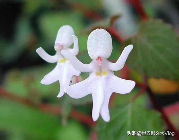 行者無疆，我們一直在路上