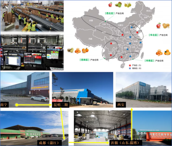 從蔬菜大棚到生鮮電商:“菜籃子工程”的25年變遷 從蔬菜大棚到生鮮電商:“菜籃子工程”的25年變遷