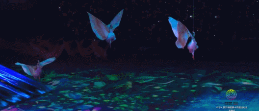 全運會開幕式看點多,張嘉益全紅嬋引發熱議,朱䴉舞也太驚豔了 全運會開幕式看點多,張嘉益全紅嬋引發熱議,朱䴉舞也太驚豔了