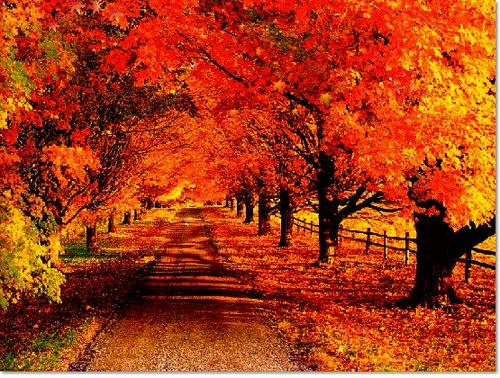 散文詩:《秋戀》 散文詩:《秋戀》